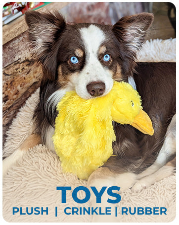 Product Number 39 / Duckie Delight™ - Mess-Free Crinkle Duck Toy for Dogs