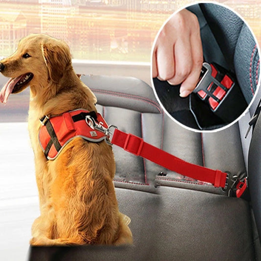 PetSecure Harness