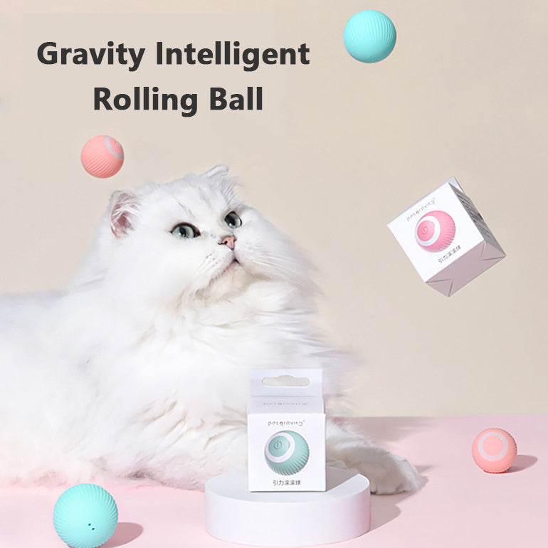 Product Number 30 / WhiskerWhirl™ - Smart Rolling Cat Toy