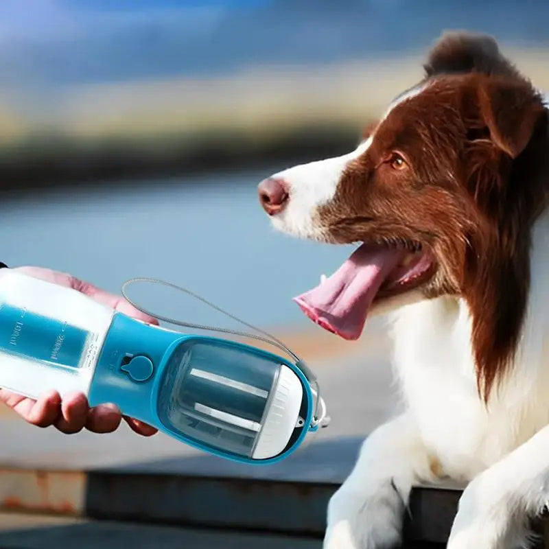 Product Number 27 / PetPal GoBuddy 3-in-1 Portable Pet Hydration Station