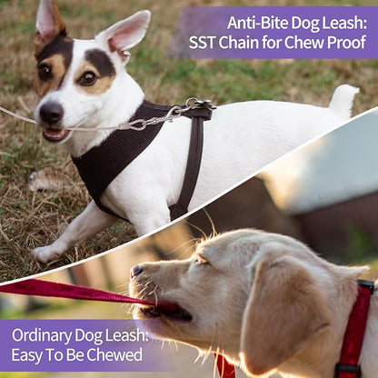 Product Number 33 / Pro Dog Leash