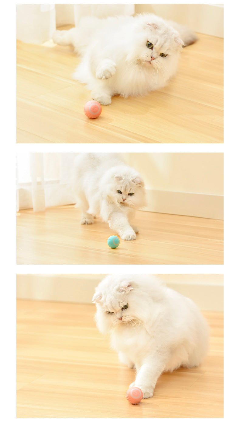 Product Number 30 / WhiskerWhirl™ - Smart Rolling Cat Toy